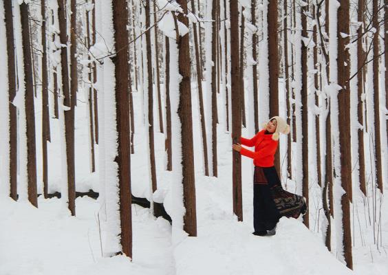 傲雪