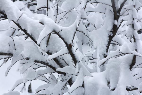 瑞雪兆丰年，淮南迎来吉祥雪