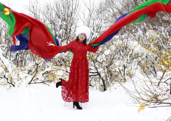 雪花飞舞