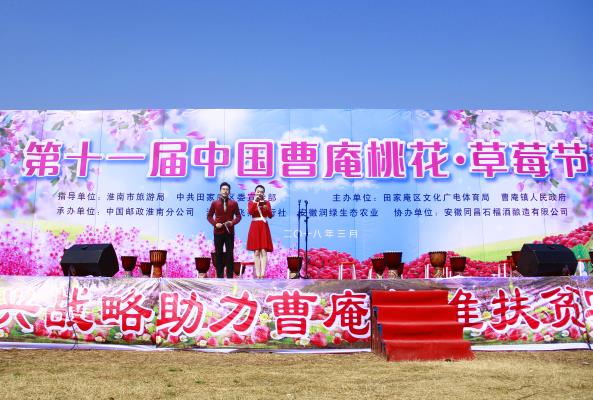 第十一届中国曹庵桃花，草莓节，成功举办