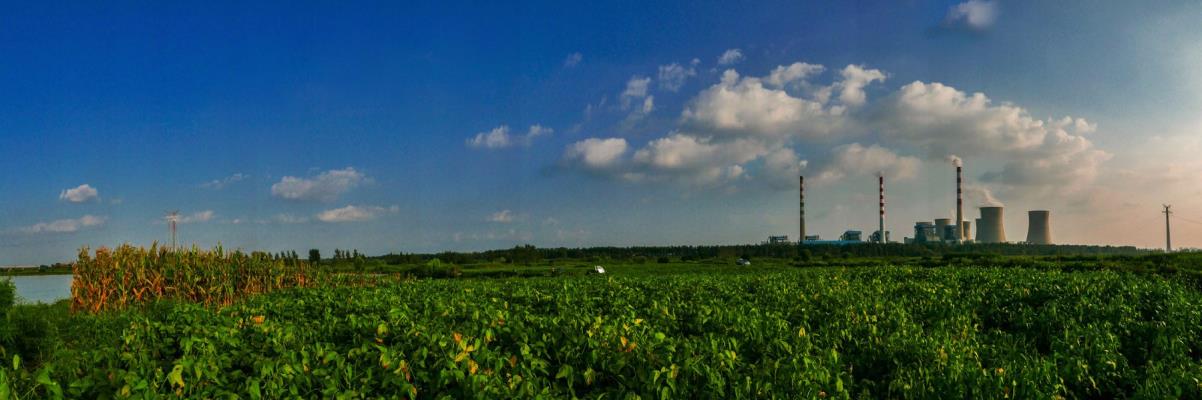 淮河岸