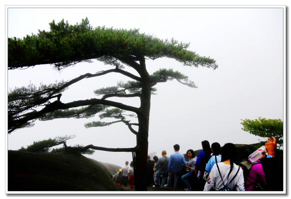大美黄山