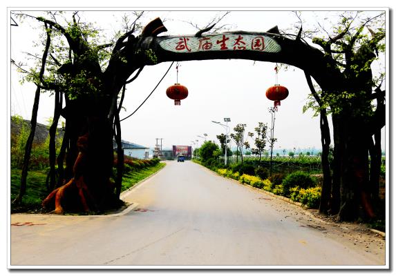 观光生态园