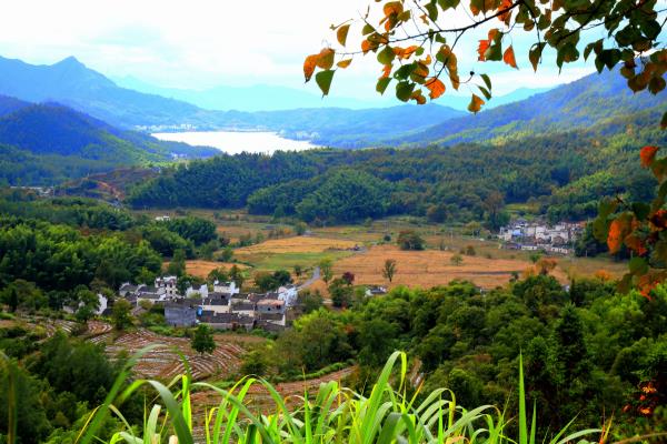 塔川秋色