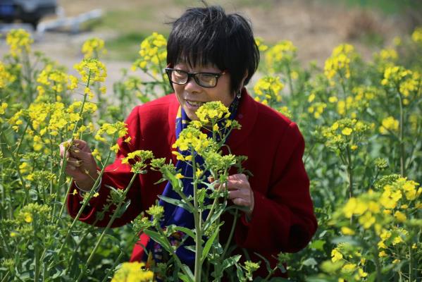 在希望的田野里