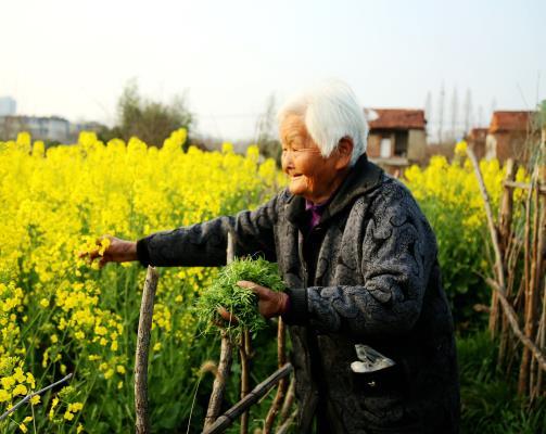 望丰收