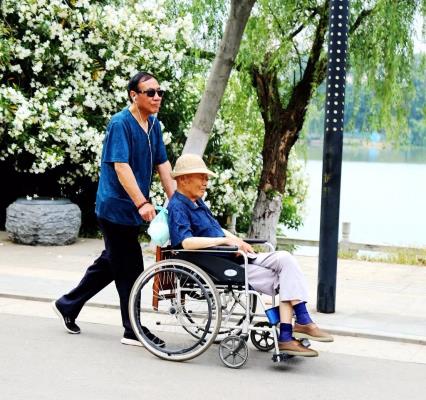 老有所依
