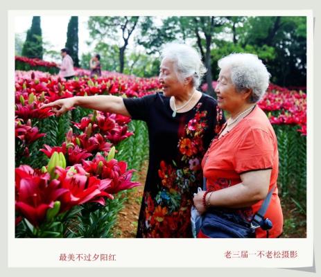 最美不过夕阳红……共享晚年幸福生活。