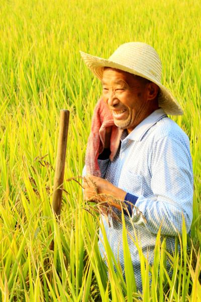 喜迎祖国70华诞，庆又一丰收年。