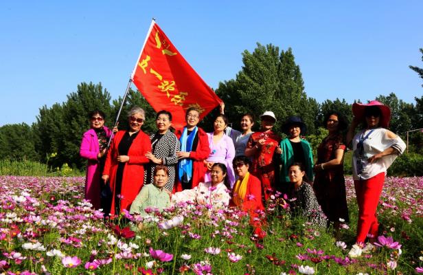 淮南洛河邻水居（洛神谷）生态园《格桑花开盛开》游人云集