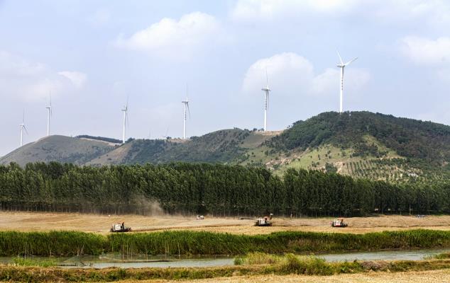 八公山下农活忙