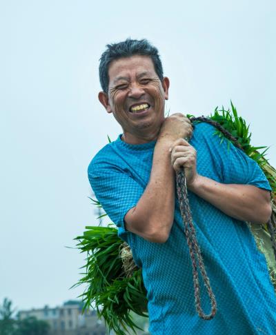 夏忙季节