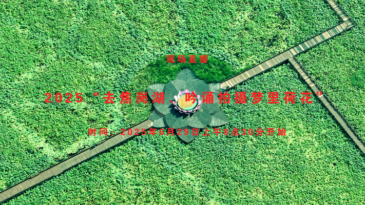 2025“去焦岗湖吟诵拍摄梦里荷花”活动直播回放