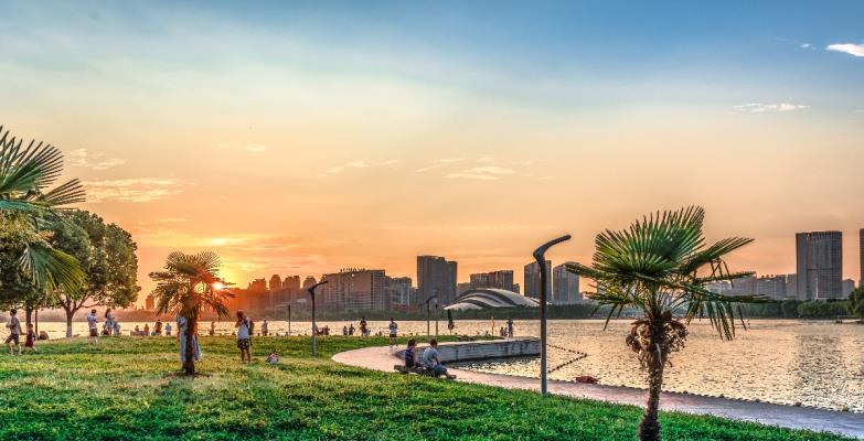 夏日的天鹅湖  优美的风景  让人赏心悦目  流连忘返