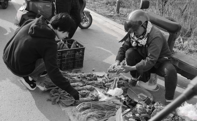 市井小菜市  道出民间情