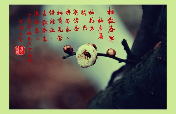 梅报春早