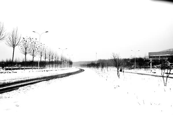 想念一场雪
