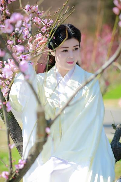 梅花争艳春意浓