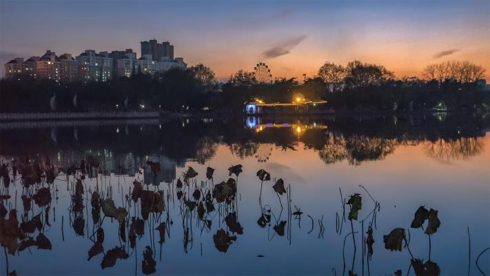 冬进龙湖