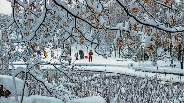 雪