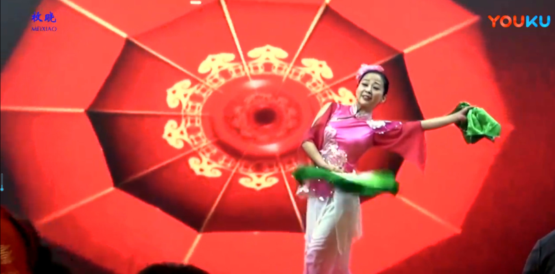 淮南市摄影家协会  2018迎新春工作座谈会      花鼓灯 表演：闪红艳