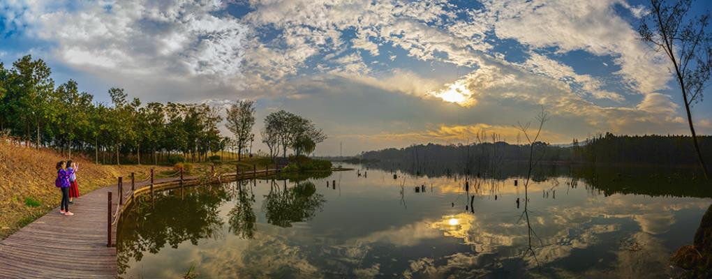 湿地的早晨