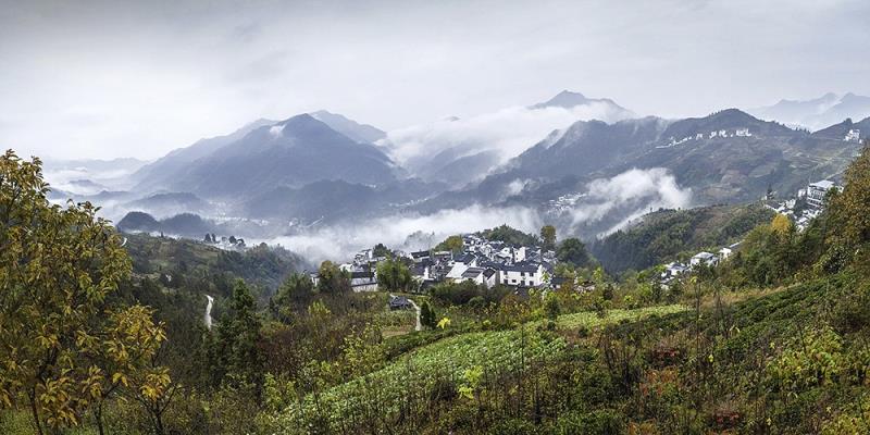 坡山秀色