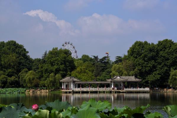 夏日龙湖公园