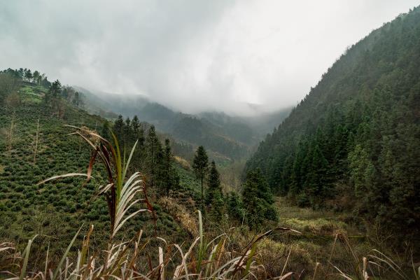 徽州渔村