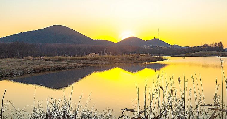 大通湿地