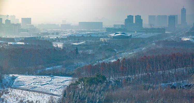 梅园雪景