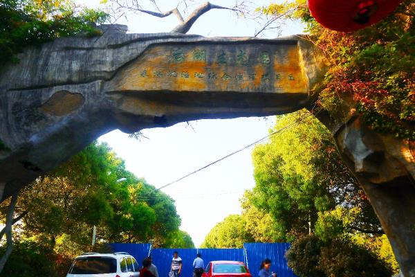 淮南潘集后湖生态园，塘集芍药花采风