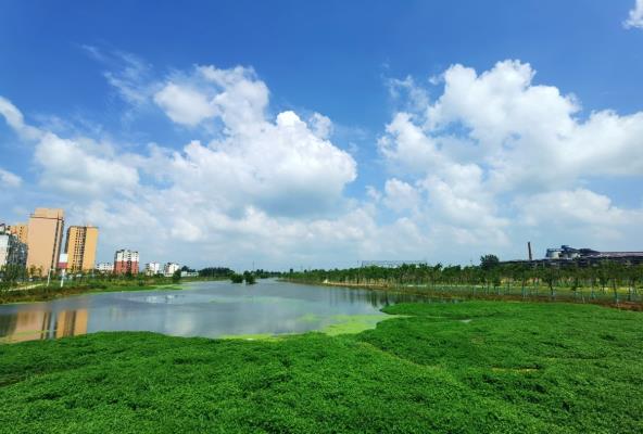 水清岸绿生态美，泥河重现好风光