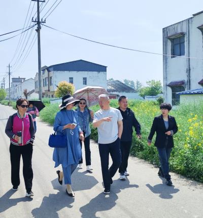 穆台村的春笺——致焦岗湖畔的田园诗行