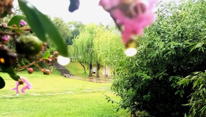 雨天的龙湖公园