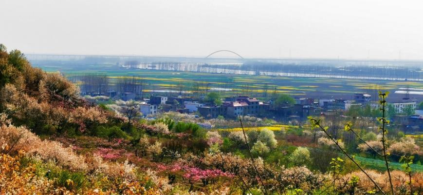 八公山的春天