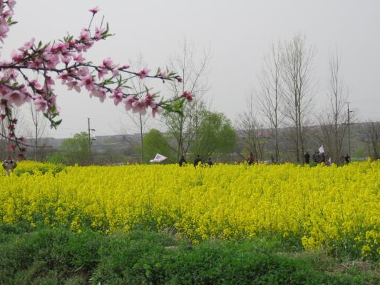 淮南图片网谢区分站户外踏青纪实