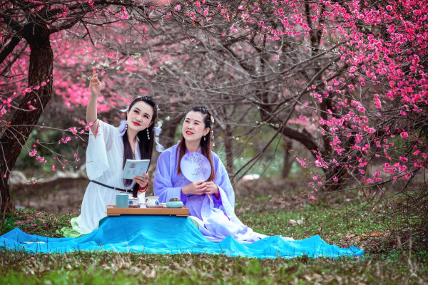 人面梅花醉诗篇