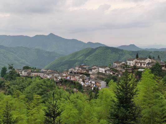 李维焕《  木梨硔》（新韵）