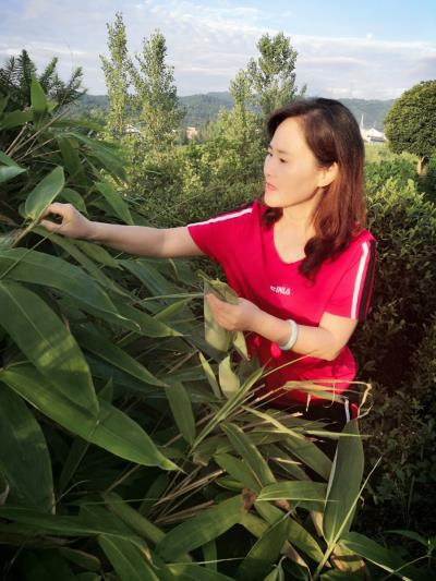 单车：怀念端午粽叶香