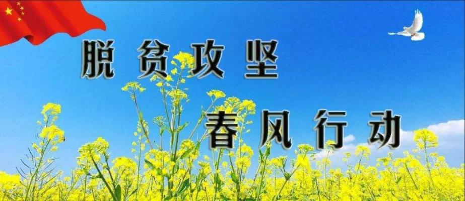 王运超长篇小说《扶贫队长》节选（之6）