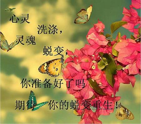 万绪英《蜕变前后的苦与乐》