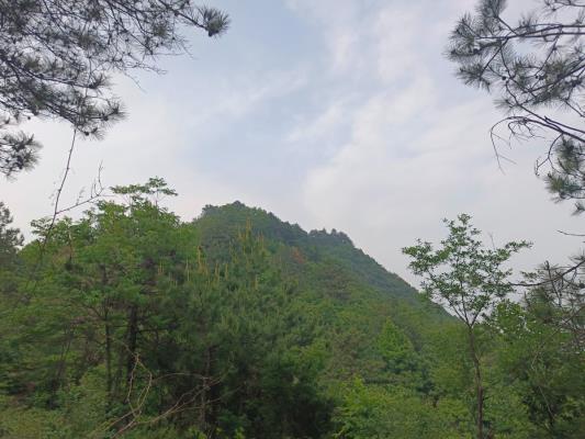 山行