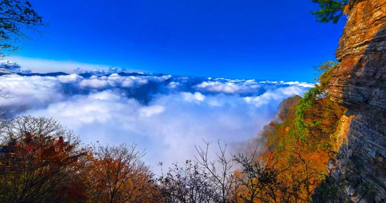 七绝   秋游光雾山