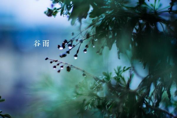 谷雨
