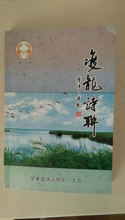 鸣谢黑龙江省《双龙诗联》发表拙作