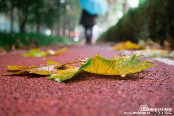 七律：秋凉杂思