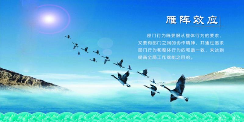 浪淘沙 . 思雁阵