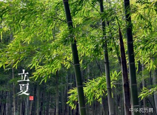 七律：立夏