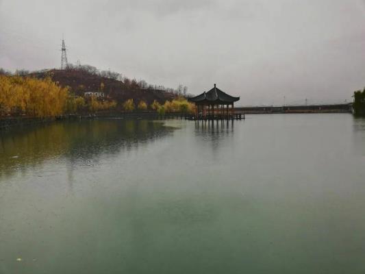 七律：冬雨